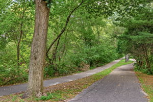  Photo 49