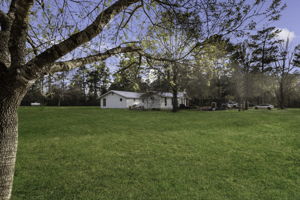  Photo 36