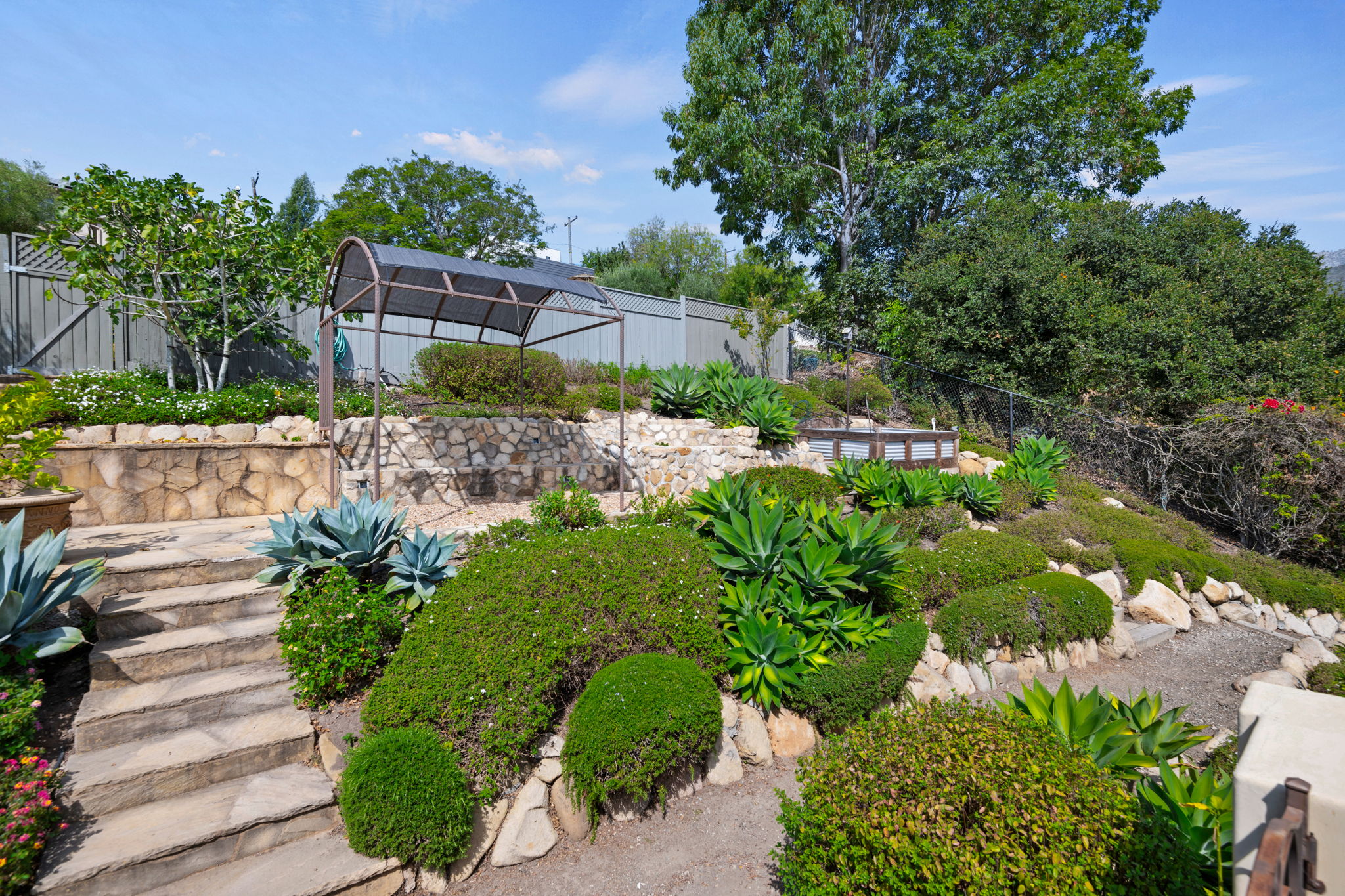 28 - Back Yard