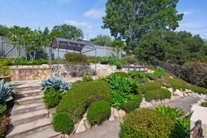 28 - Back Yard