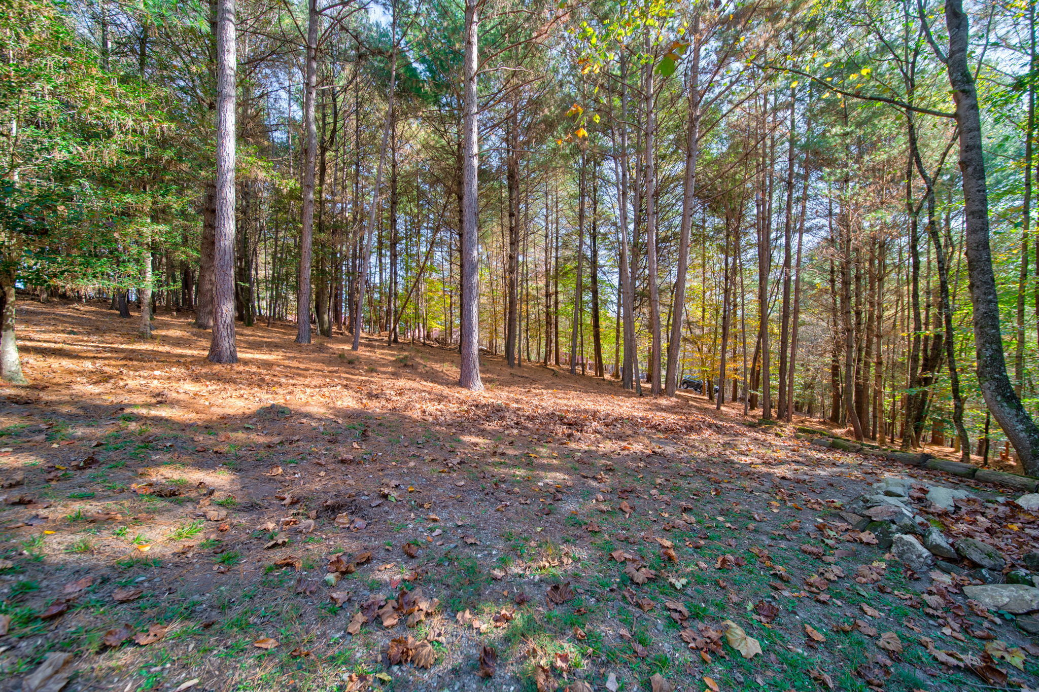  Photo 48