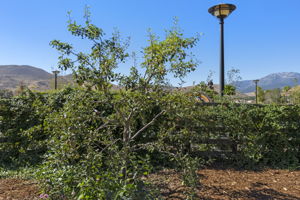  Photo 49
