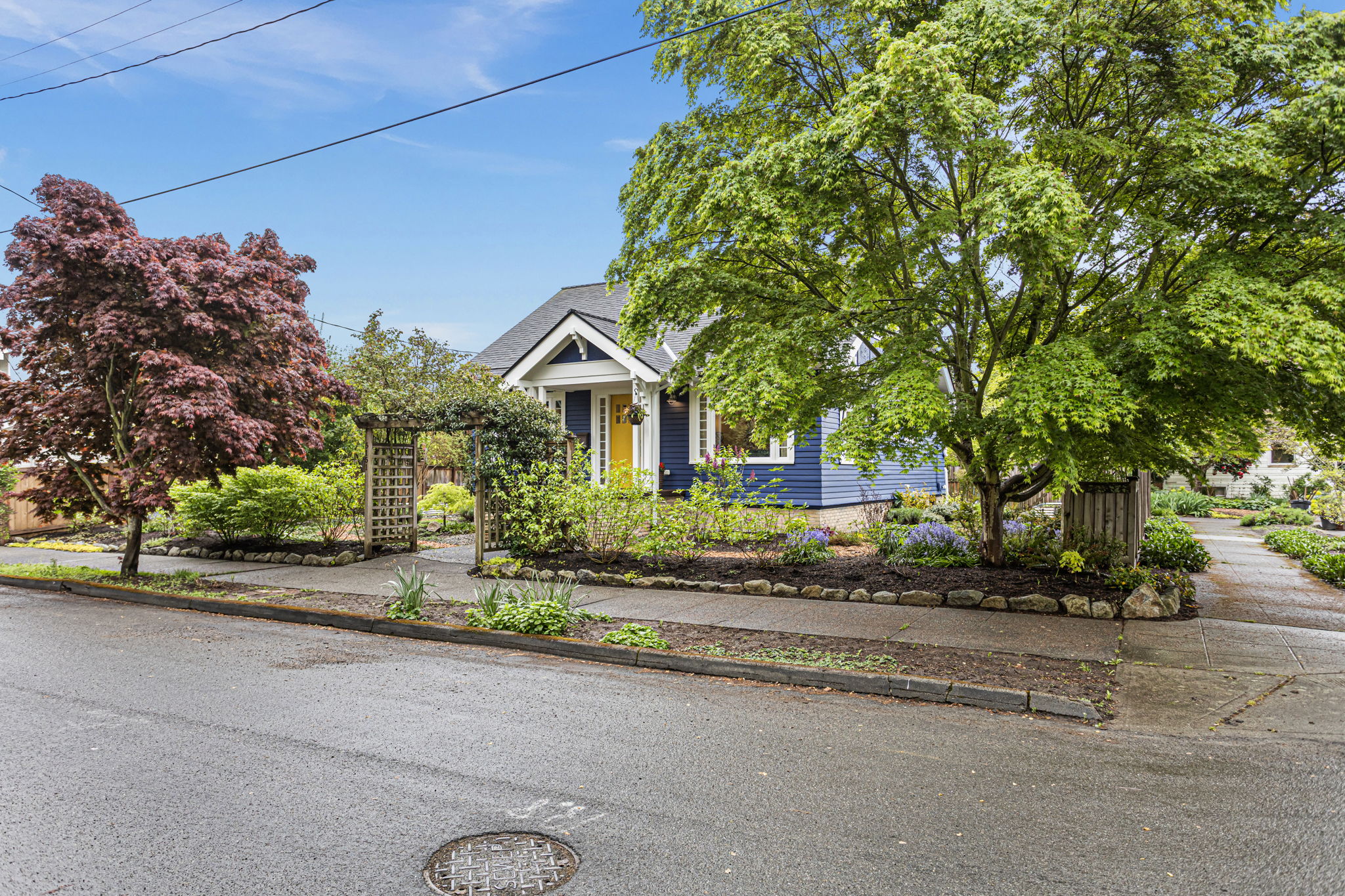 Flat corner lot at the top of the hill. Open in every direction — the Japanese maple does the framing.
