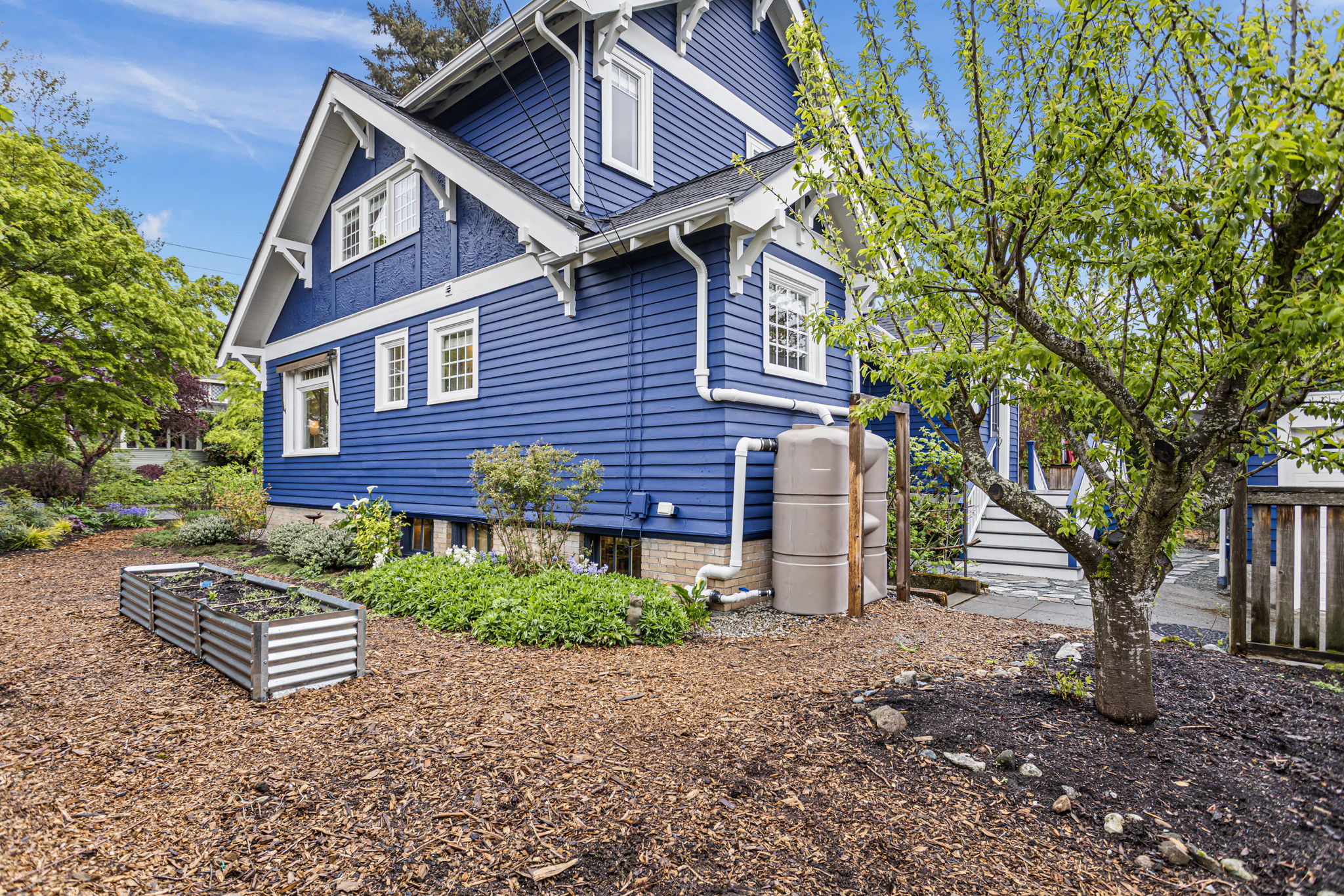 The west garden — cistern, metal raised bed, Italian plum, deck stairs to the right. Fresh paint, 2026. The RainWise system is doing its job before anyone notices.