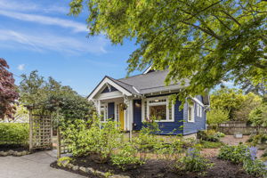 Japanese maples on the parking strip, a natural boundary that took decades to earn.