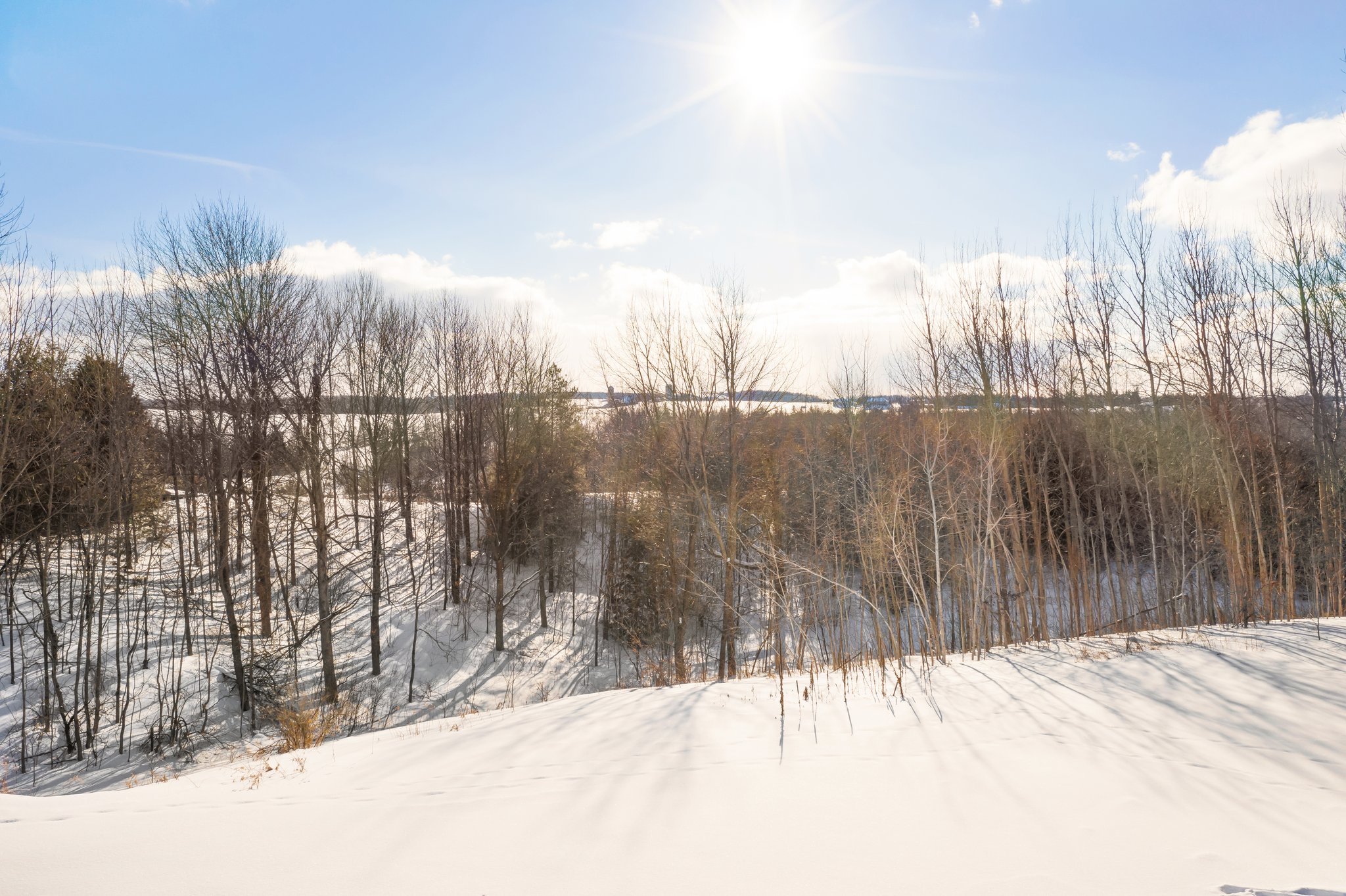 515526 2nd Line, Amaranth, ON L9V 1L6, CA Photo 68