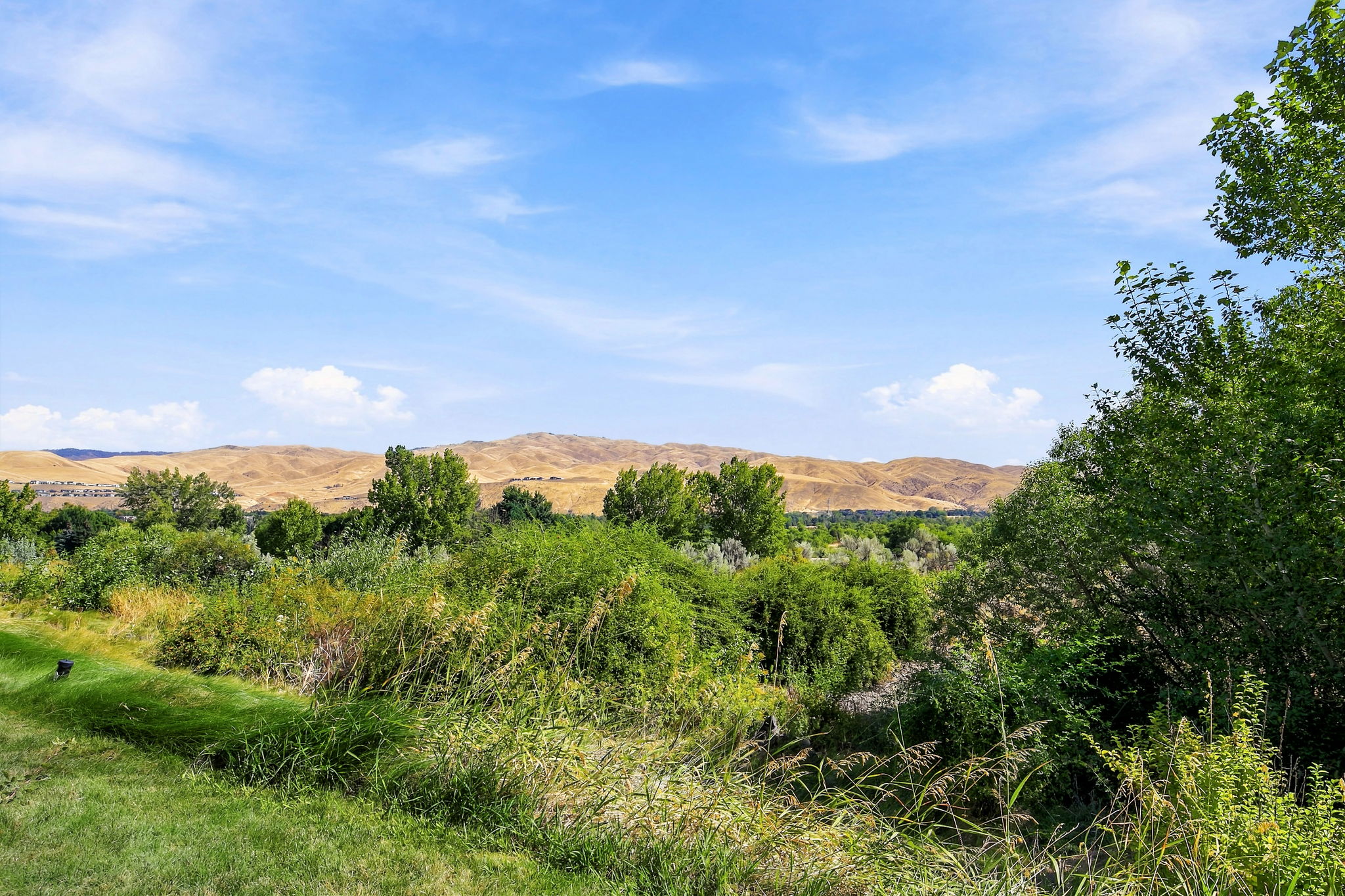  Photo 40