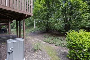  Photo 33