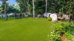  Photo 46