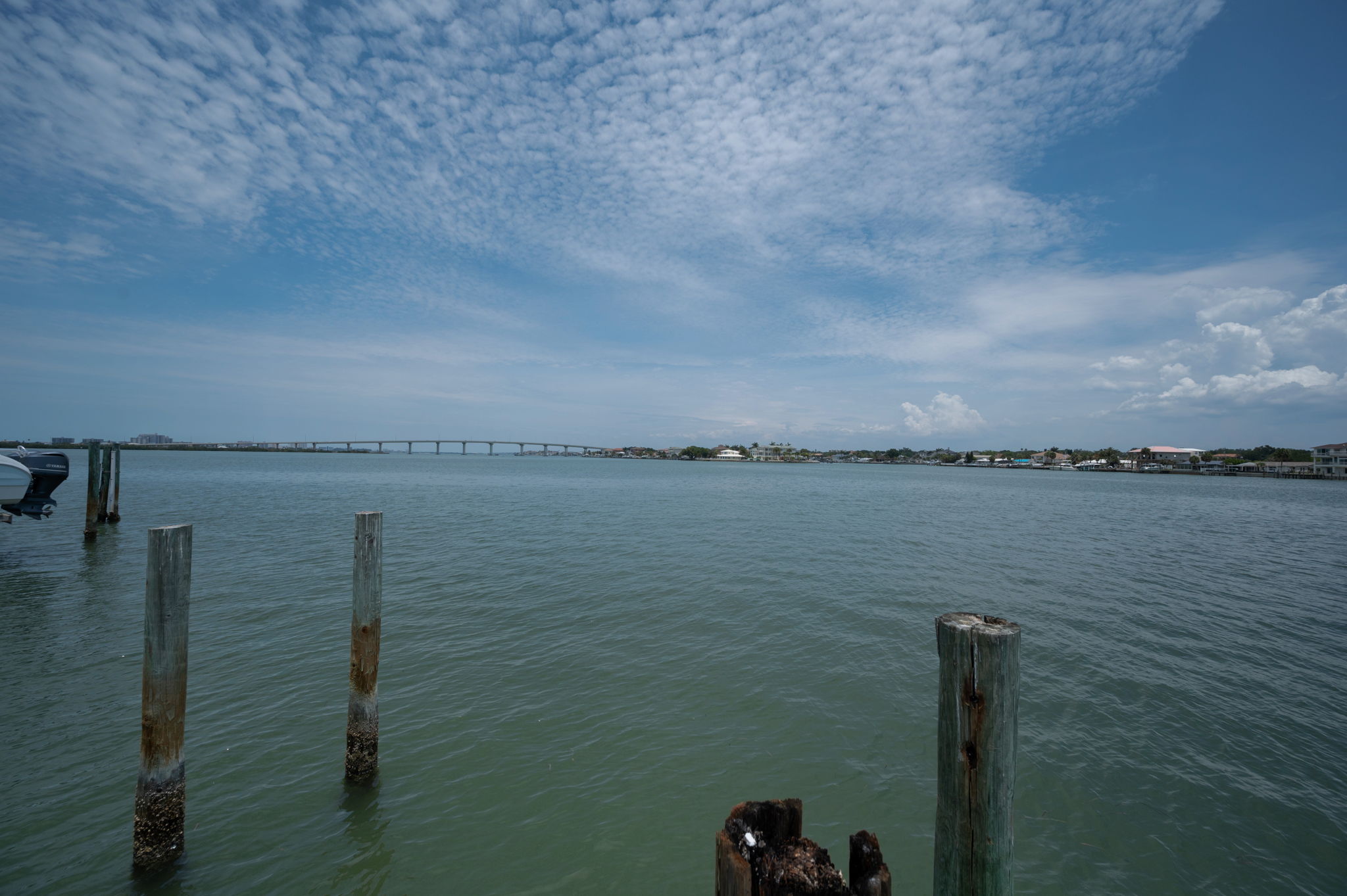 Dock5 View