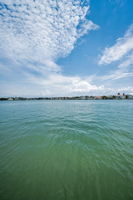 Dock4 View