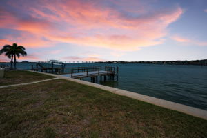 Backyard1