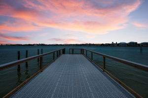 Dock1