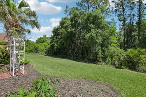 Millifiora Ln-S2504-043.jpg