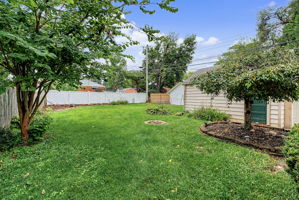  Photo 41