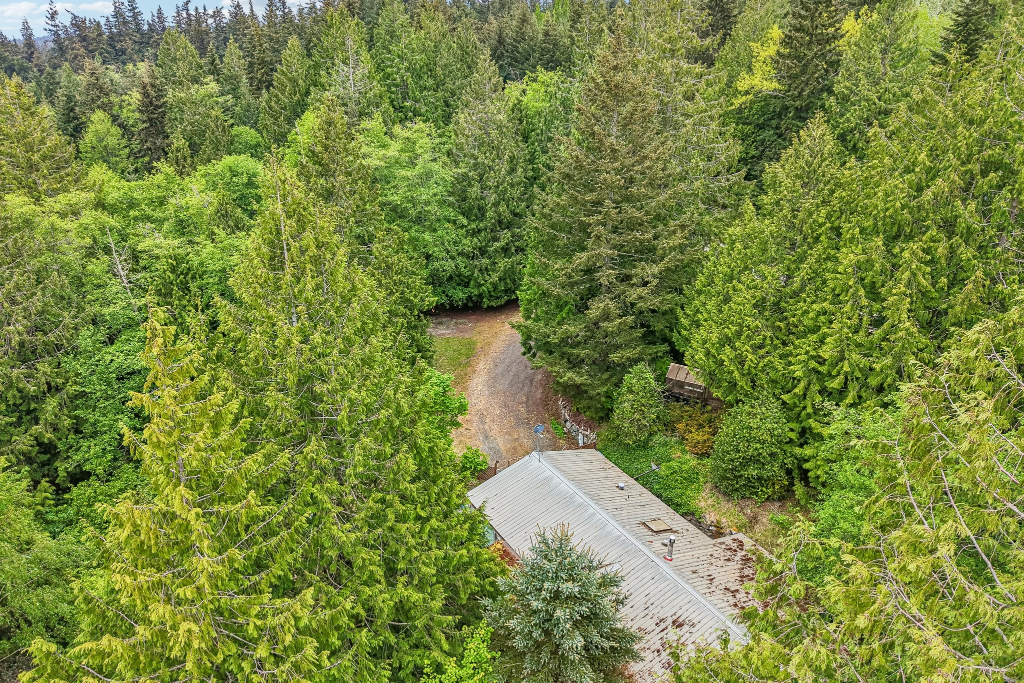 Blacktail Ln-S0905-054.jpg