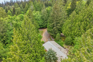 Blacktail Ln-S0905-054.jpg