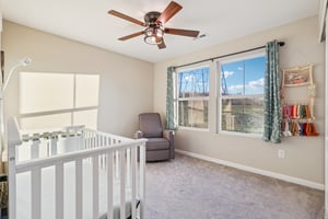 Hazeltine Ln-S1301-027.jpg