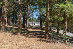  Photo 49