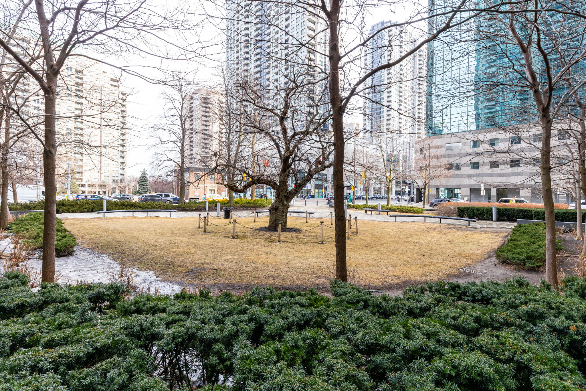 Toronto property showcase — delivered property photograph 3