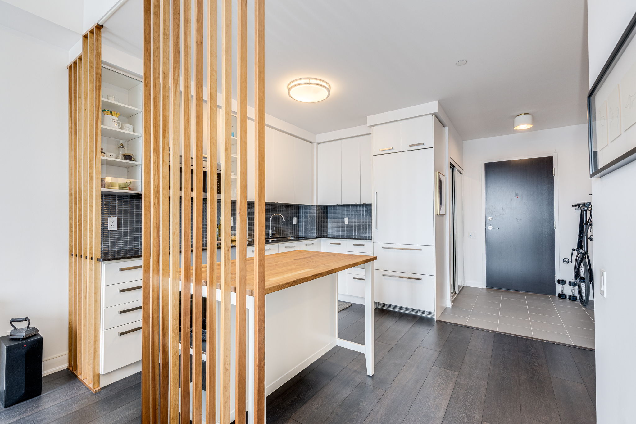 Toronto property showcase — delivered property photograph 14