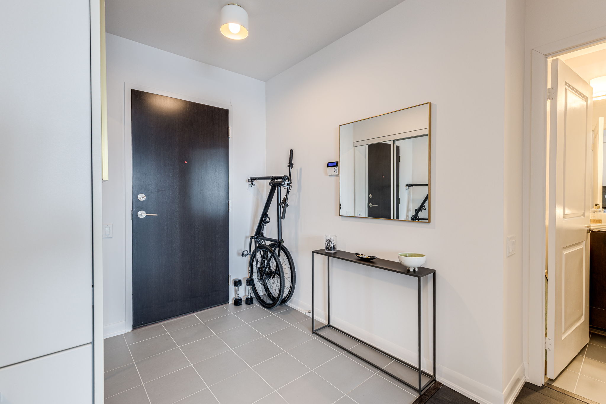 Toronto property showcase — delivered property photograph 17