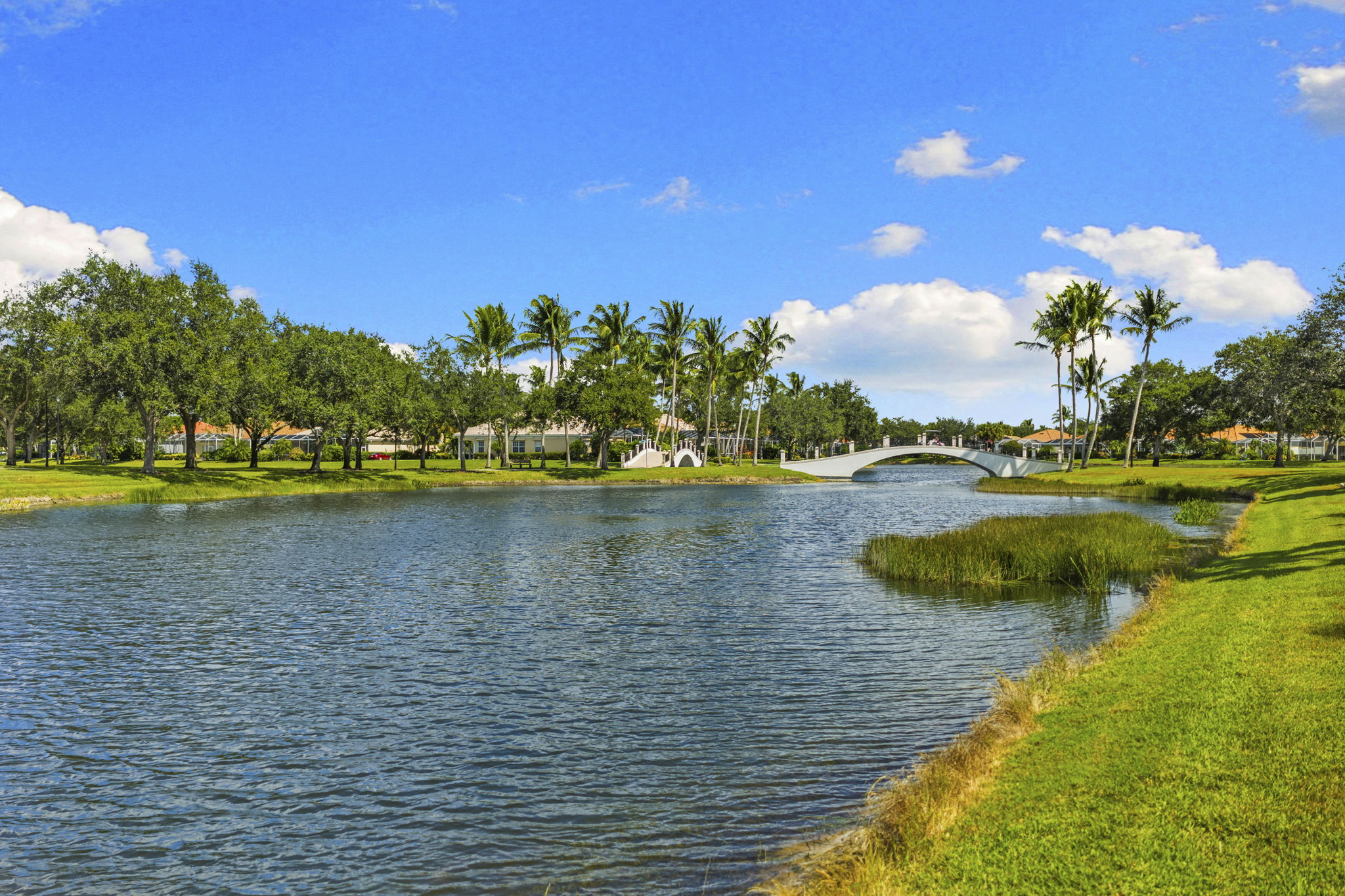 Lake view