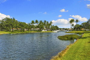 Lake view