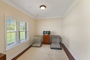  Photo 48