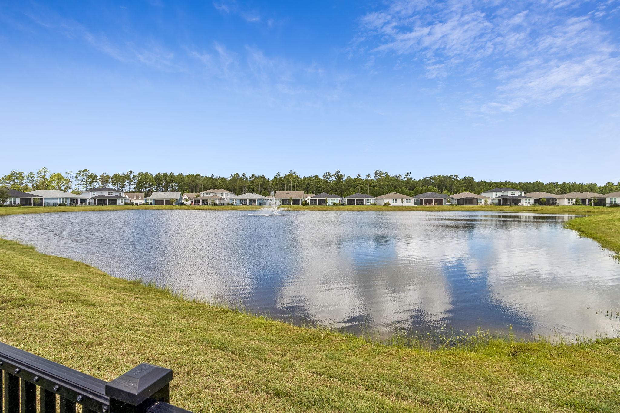 Pond View