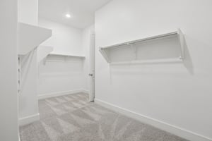 Copper Sage Dr-S3112-024.jpg