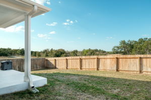 Back Yard and View