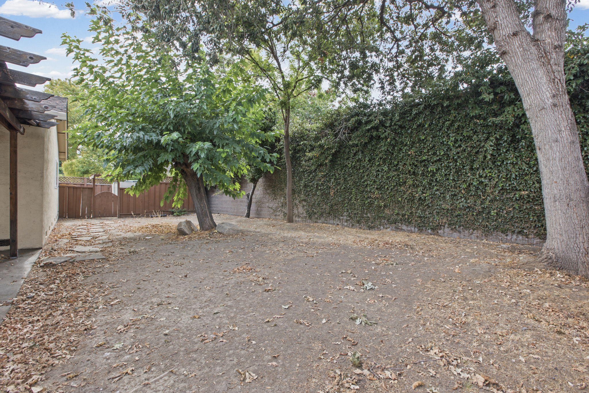  Photo 39