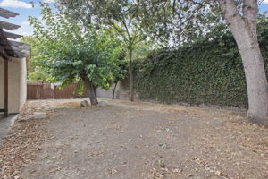  Photo 38