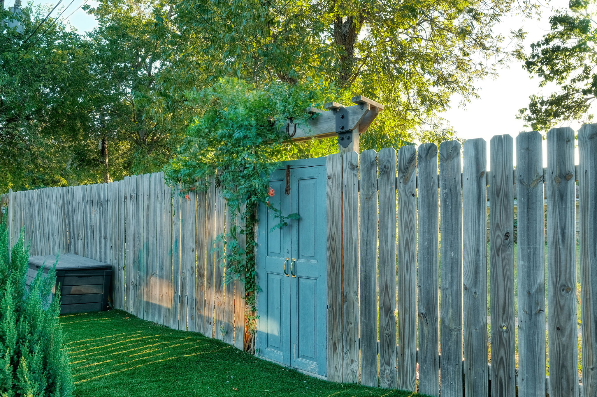 Back Yard Detail