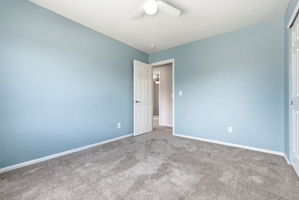  Photo 38