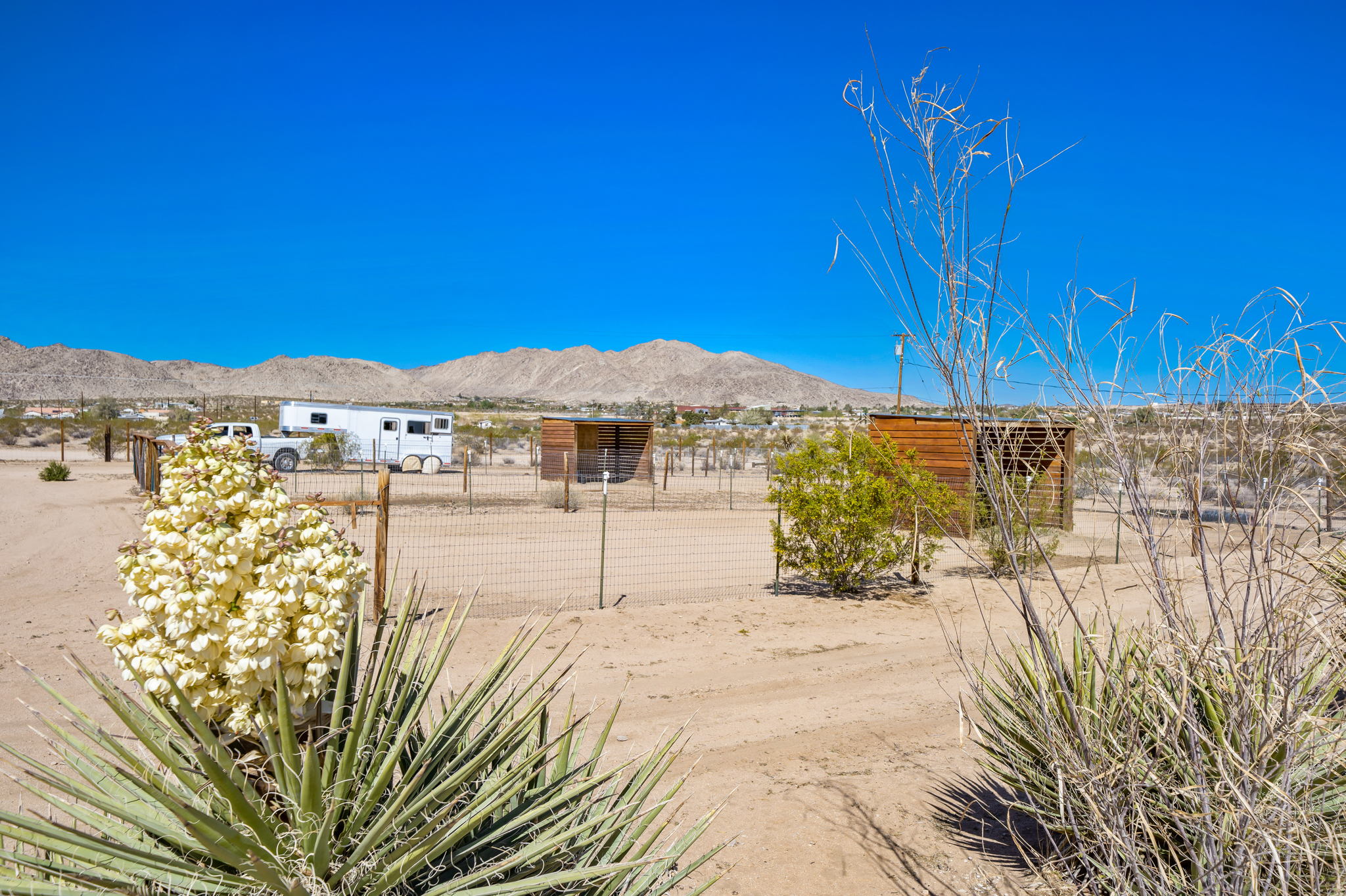 5175 Shadow Mountain Ave, Joshua Tree, CA 92252, USA Photo 49