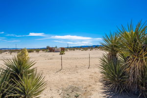 5175 Shadow Mountain Ave, Joshua Tree, CA 92252, USA Photo 49