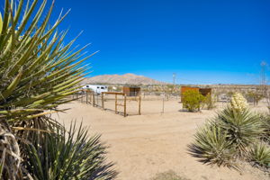 5175 Shadow Mountain Ave, Joshua Tree, CA 92252, USA Photo 47