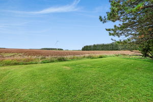  Photo 50