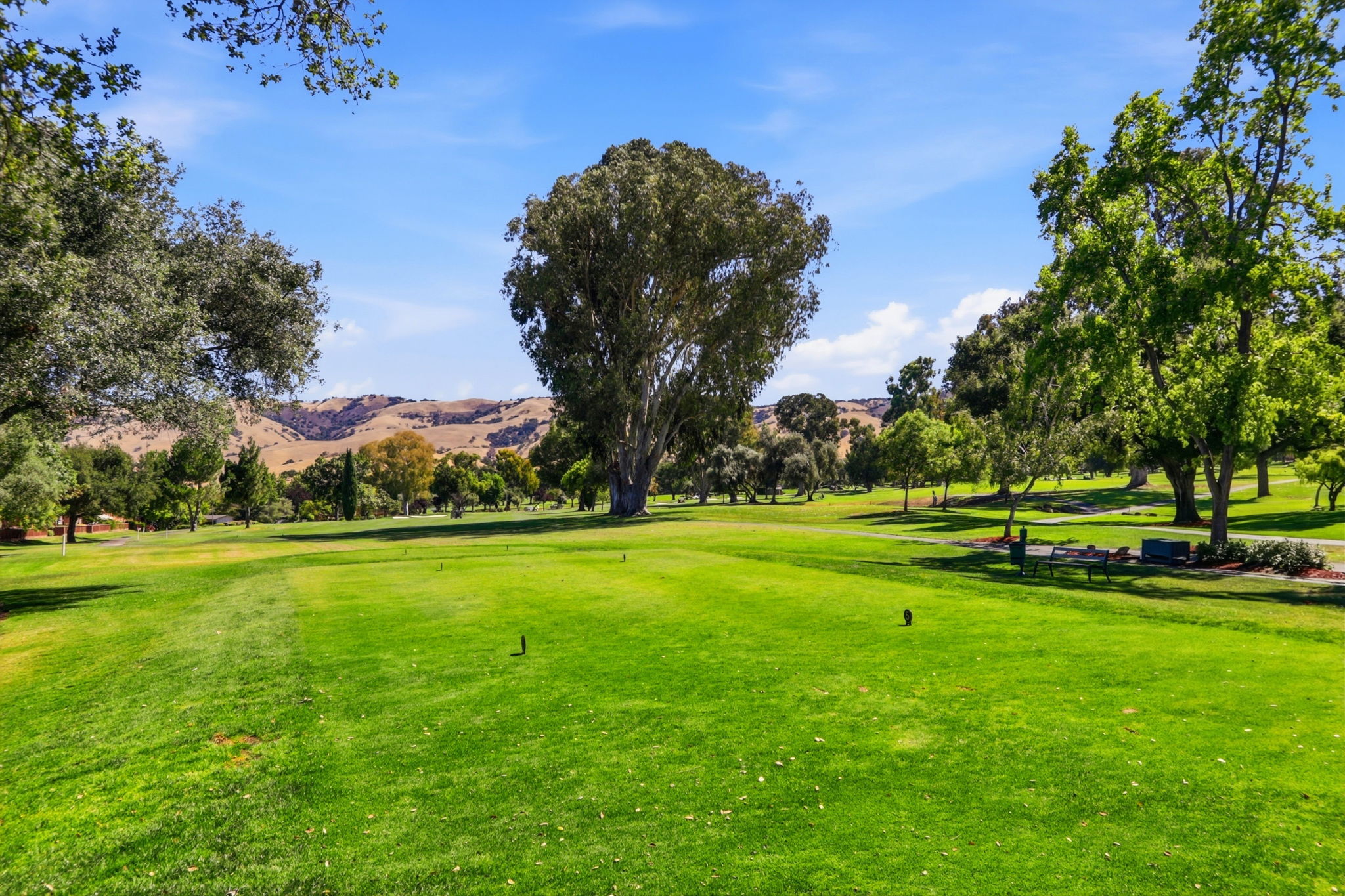 042_F8_5177 Cribari Knolls