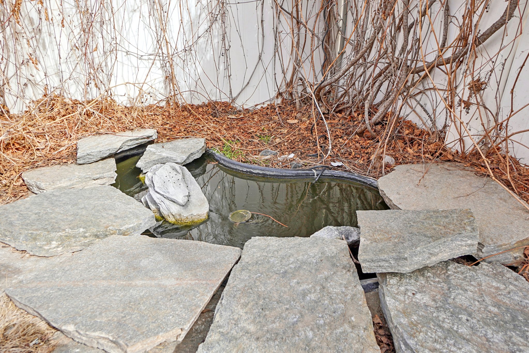 Paloma St-S1303-050.jpg