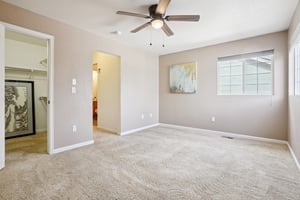 Paloma St-S1303-030.jpg