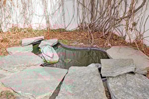 Paloma St-S1303-050.jpg