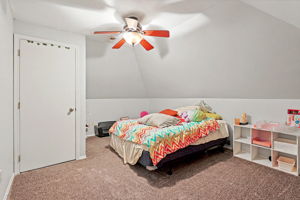  Photo 49