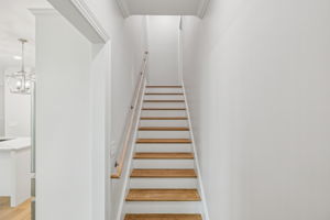  Photo 50