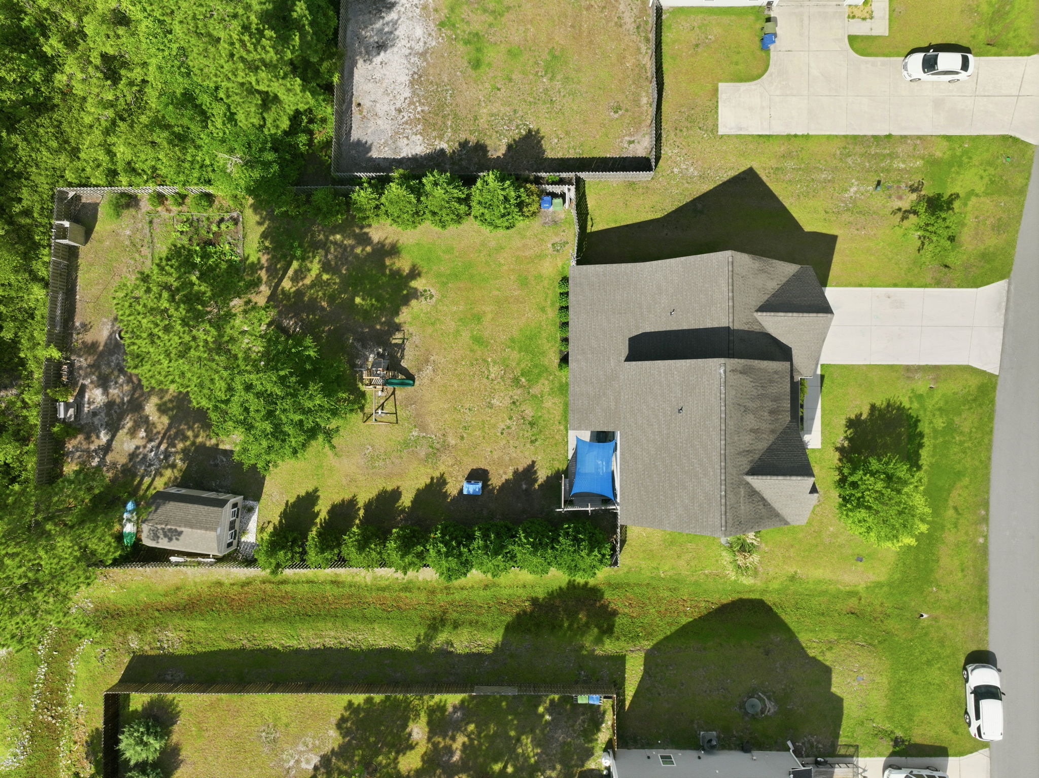 Back Yard