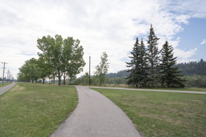 Bow river pathways a block away
