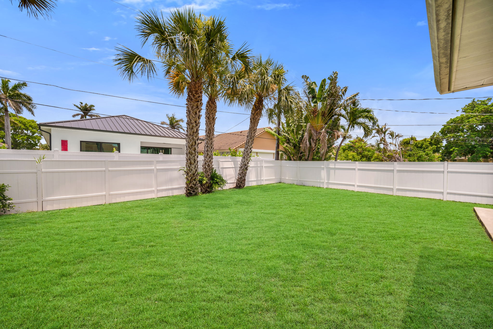 Yard View 3