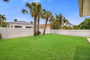 Yard View 3